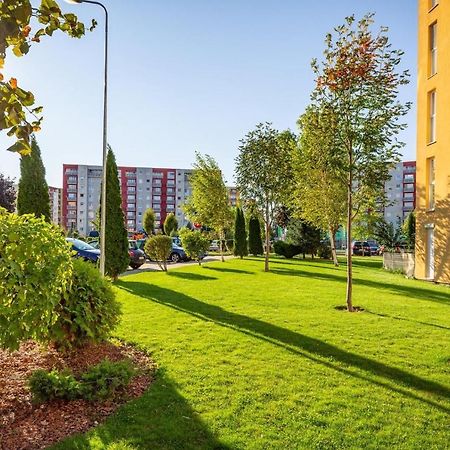 Apartment Richy Brasov Ngoại thất bức ảnh