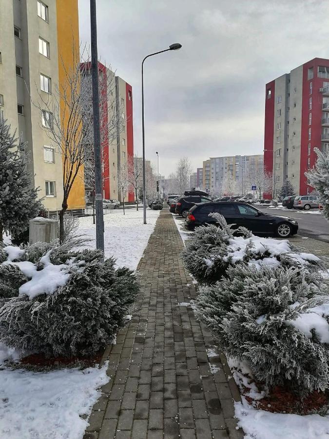 Apartment Richy Brasov Ngoại thất bức ảnh